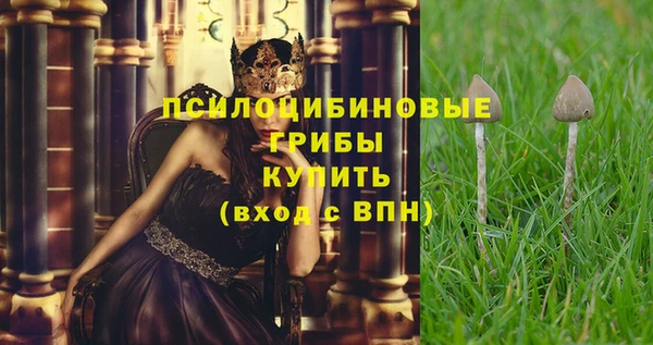 мдма Бородино