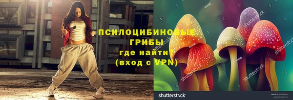 соль ск Бугульма