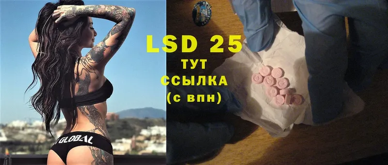 LSD-25 экстази ecstasy  кракен ТОР  Каргополь 